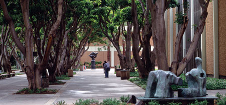 Murphy Sculpture Garden at UCLA